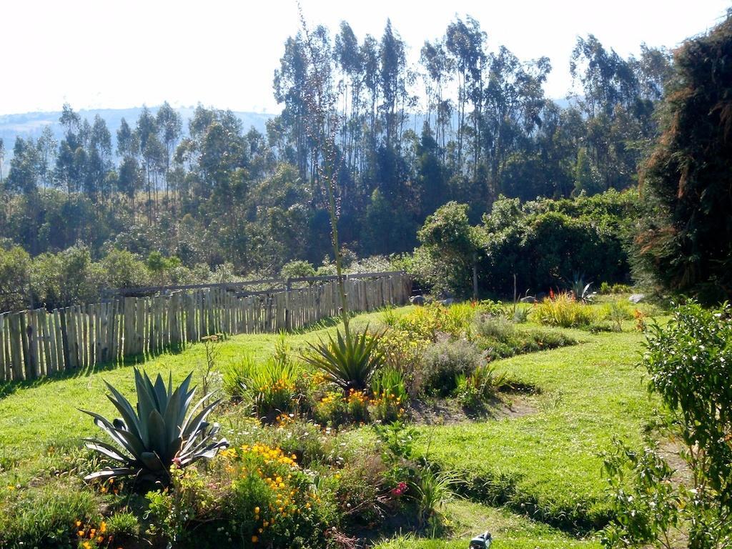 Hosteria Hotel Cuello De Luna - Cotopaxi - Country Inn Lasso Exterior photo